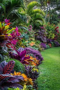 colorful tropical garden with lush green grass and trees