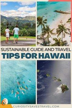 This sustainable travel guide to Hawaii has insider sustainable travel tips for visiting the islands more responsibly. It features some of the top eco-tours on the four main islands & local small businesses you can support. | Hawaii travel guide | eco guide to Hawaii | things to do in Hawaii | sustainable tips for Hawaii | Hawaii travel tips | Hawaii vacation | Hawaii tips | eco-tours in Hawaii | Hawaii responsible travel guide | Hawaii highlights | #sustainbletravel #hawaii #ecotourism Travel Tips, Hawaii, Travelling Tips