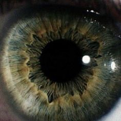 an extreme close up shot of the iris of a human eye