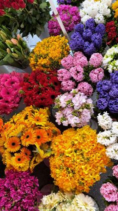 many different colored flowers on display for sale