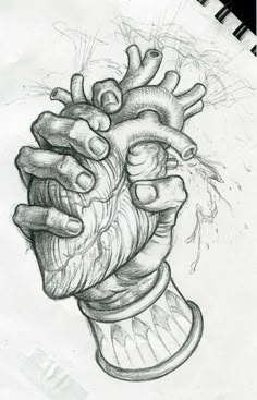 a pencil drawing of a hand holding a heart