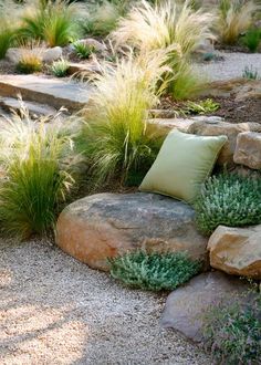 a rock garden with grass and rocks