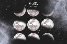 Moon Phases Clipart Cute Sleeping Animals, Celestial Watercolor, Space Graphics, Space Clipart, Space Watercolor, Bouquet Images, Moon Space, Mystical Animals, Moon Images