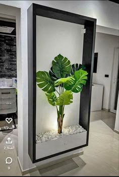 there is a plant that is in the mirror