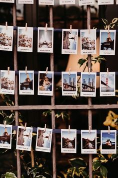 there are many pictures hanging on the clothesline and some plants in front of them