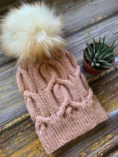 a knitted hat with a pom - pom sits next to a potted plant