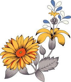 a yellow flower with leaves and buds on a white background is drawn by hand in colored pencils