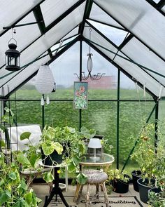 the inside of a greenhouse with lots of plants