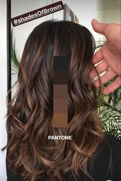 Black Hair Balayage, Brown Hair Looks, Brown Hair Inspo, Brunette Hair With Highlights, Dark Hair With Highlights, Brunette Balayage Hair, Long Hair Color, Brown Hair Balayage