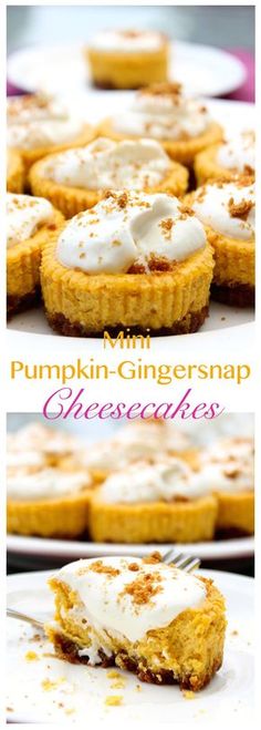 pumpkin - ginger snap cheesecakes with whipped cream on top