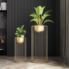 two planters with plants in them on a wooden floor next to a black wall