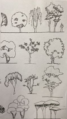 some trees and bushes are drawn on paper