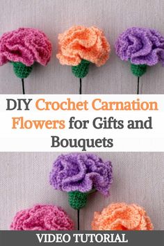 crochet flowers for gifts and bouquets with text overlay that reads, diy crochet carnation flowers for gifts and bouquets