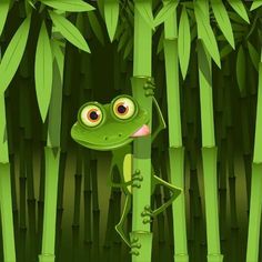 a green frog peeking out from behind some bamboo stalks