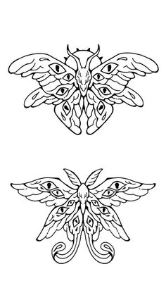 two butterfly designs on white background