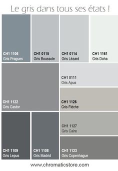 some gray and white paint colors