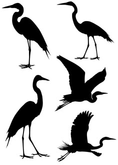 four silhouettes of birds with long legs and wings, one standing on the ground