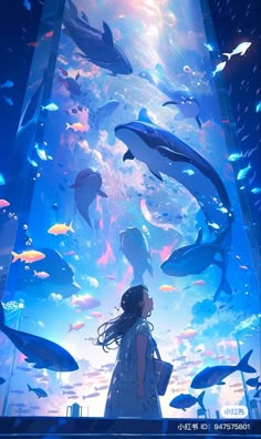 a girl looking at dolphins in an aquarium with blue water and clouds above her is a woman holding a book