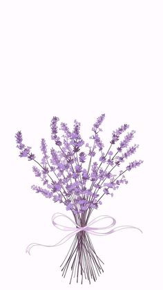 a bouquet of lavender flowers with a bow