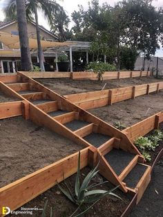 an outdoor garden area with wooden steps and plants in the dirt, surrounded by palm trees