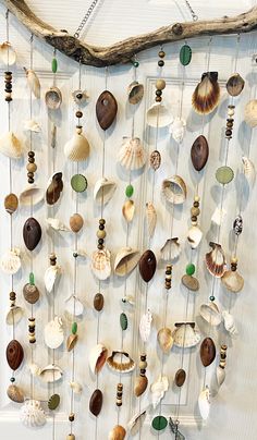 there are many shells hanging on the wall