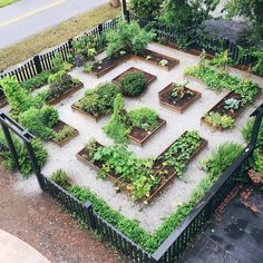 an aerial view of a garden with many different types of plants in the center and on the other side