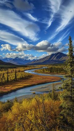 a river running through a lush green forest under a blue sky with white fluffy clouds