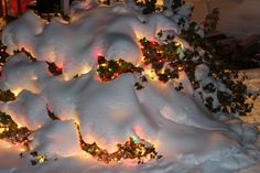 a christmas tree covered in lights and snow