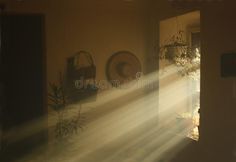 the sun shines through an open door into a room filled with plants and mirrors