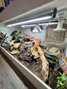 an indoor planter filled with different types of plants and other things on the ground