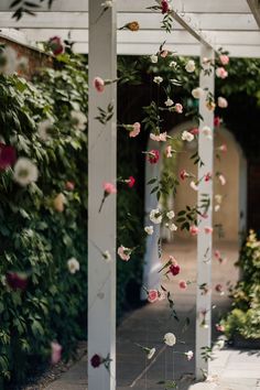 Flower heads hang from thin wires dangling from pergola outdoors Hanging Flowers From Trees Wedding, Window Flower Decoration, Hanging Single Flowers, How To Make Hanging Flower Garland, Celling Flower Decoration, Hanging Flowers Backdrop Wedding, Hanging Flowers Pergola, Flowers Dangling From Ceiling, Fishing Wire Hanging Flowers