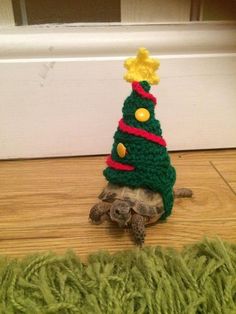 a small turtle with a christmas tree on its back