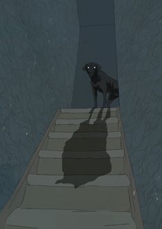 a black dog standing at the top of some stairs with its shadow on the ground