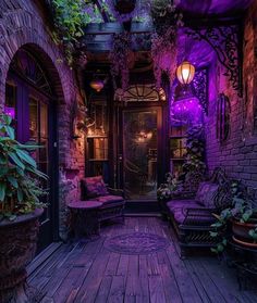 an outdoor room with purple lighting and plants on the outside, along with wooden flooring