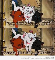 two cartoon cats with caption saying why should you go first? because i'm a lady, that's why