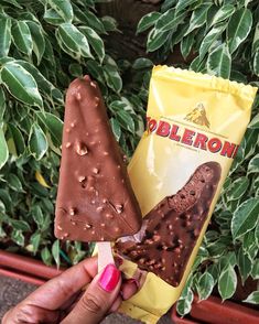 a person holding two pieces of chocolate covered ice cream in front of green plants and bushes