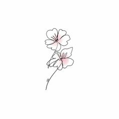 three pink flowers on a white background