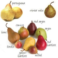 different types of pears with names on them