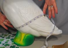 a woman measuring the height of a white bird with a tape on it's neck