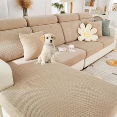 a dog is sitting on the floor in front of a couch with pillows and flowers