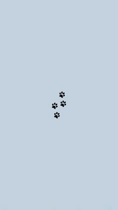 two dogs are walking in the sky with their paws out