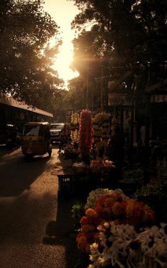 the sun shines brightly through the trees and flowers in front of an outdoor market