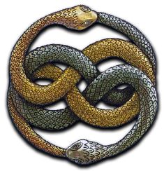 an image of a snake in the shape of a circle