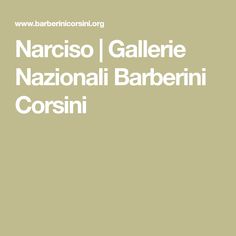 the cover of la lepre i gallerie nazii barbarini corsini