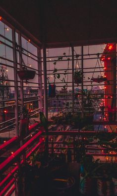 the inside of a building with lots of plants and lights on it's windows