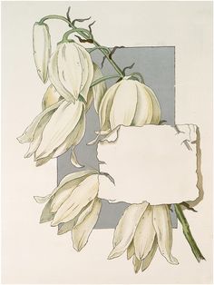 a drawing of some flowers with a sign in the middle and an empty piece of paper on top