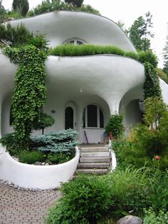 an unusual house with plants growing on the roof