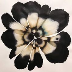 a black and white flower is in the middle of an art work with multiple petals