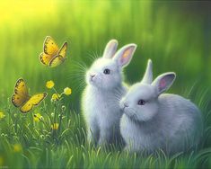 two white rabbits sitting next to each other in the grass with butterflies flying above them