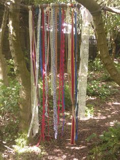 ribbons hanging from trees in the woods